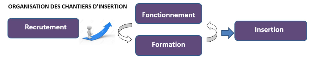 organisationci